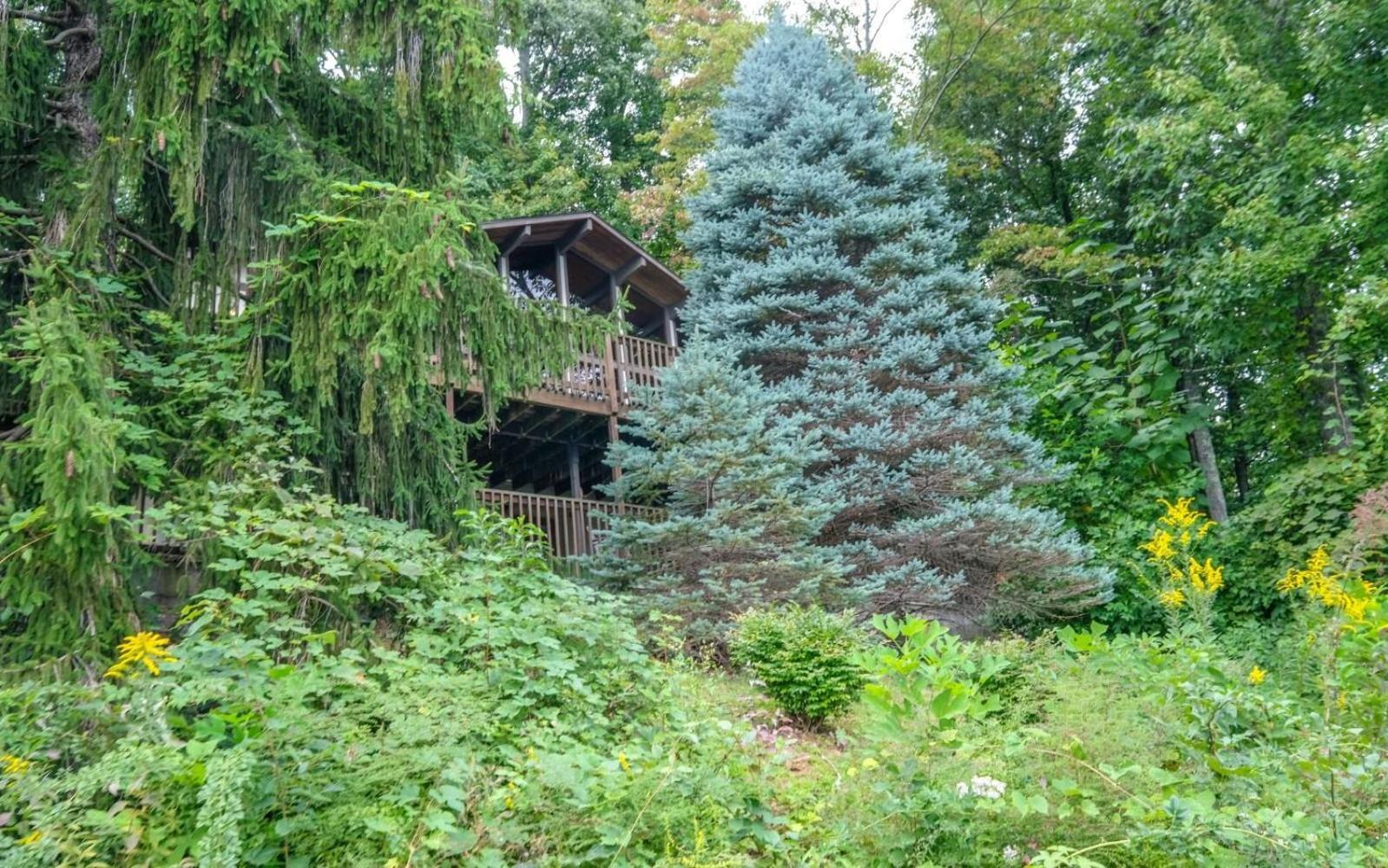 Willa Three Pines 2139 Gatlinburg Zewnętrze zdjęcie